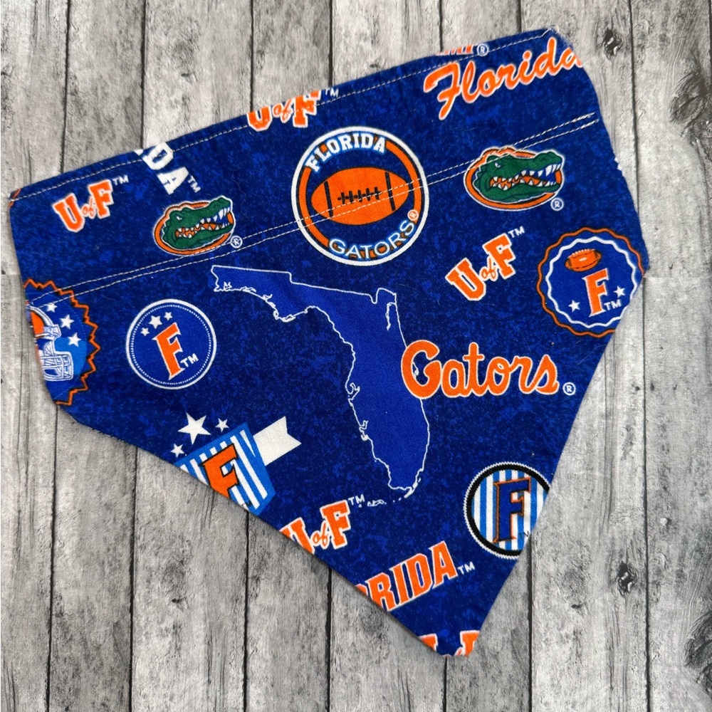 Handmade Game Day! Florida gators animal scary over the collar.